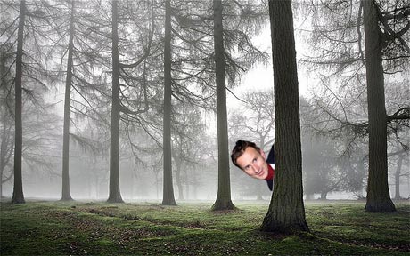 And occasionally behind trees
